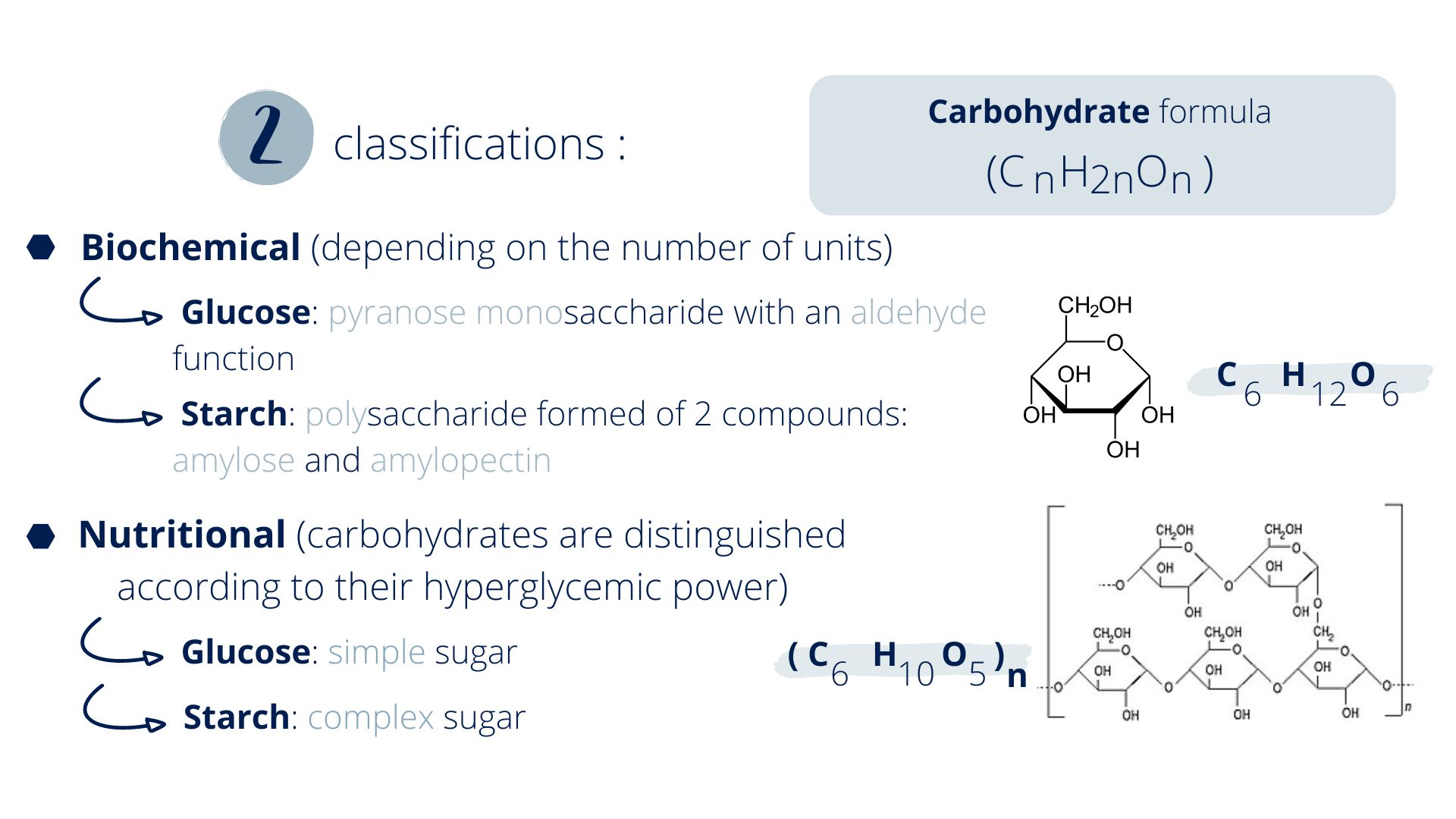 Carbohydrates characteristics and roles Innovactiv