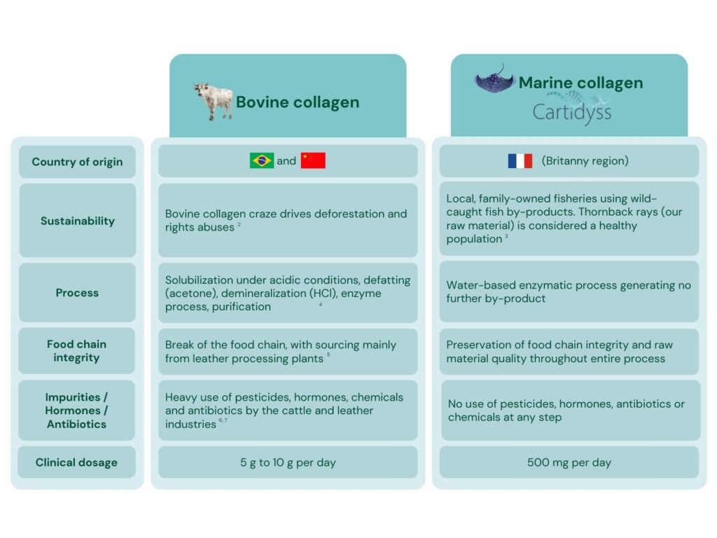 Dive Into Collagen Marine Vs Bovine Lets Compare Innovactiv 6801